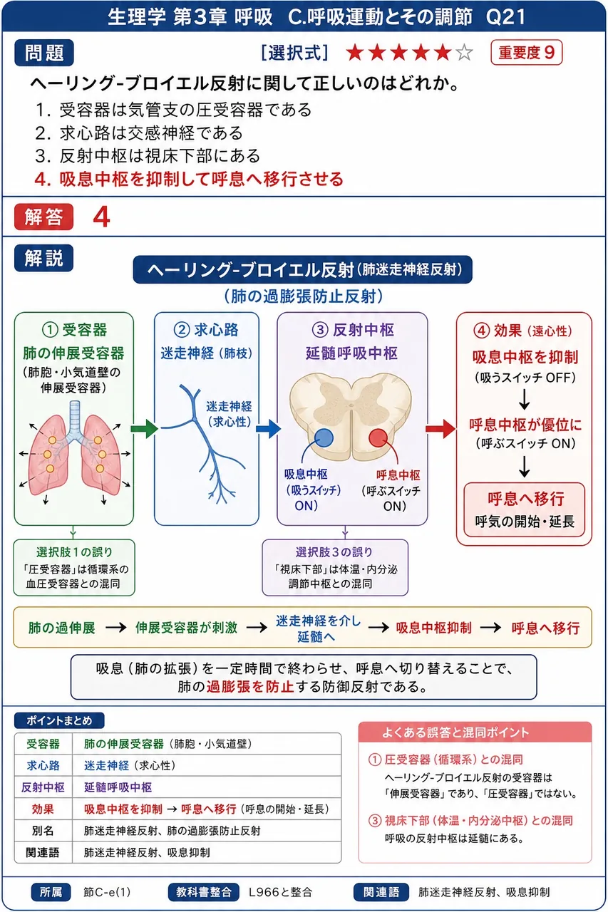 ヘーリング-ブロイエル反射に関して正しいのはどれか。 解説図