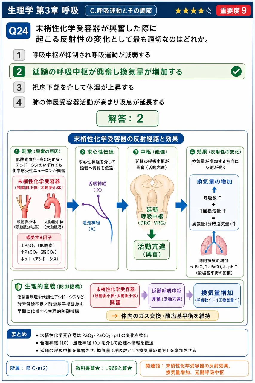 末梢性化学受容器が興奮した際に起こる反射性の変化として最も適切なのはどれか。 解説図
