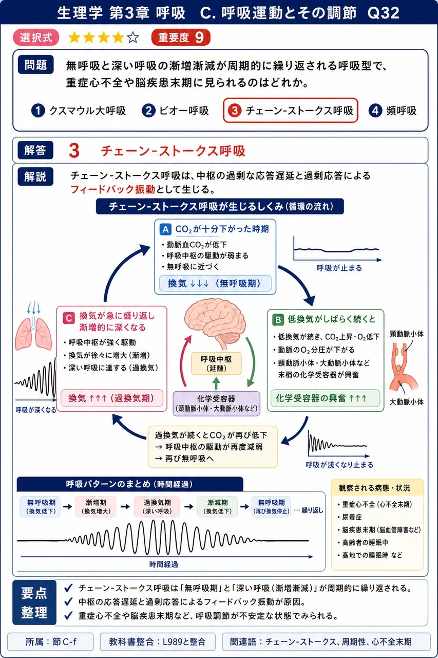 無呼吸と深い呼吸の漸増漸減が周期的に繰り返される呼吸型で、重症心不全や脳疾患末期に見られるのはどれか。 解説図