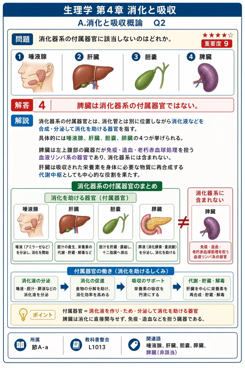 消化器系の付属器官に該当しないのはどれか。 解説図