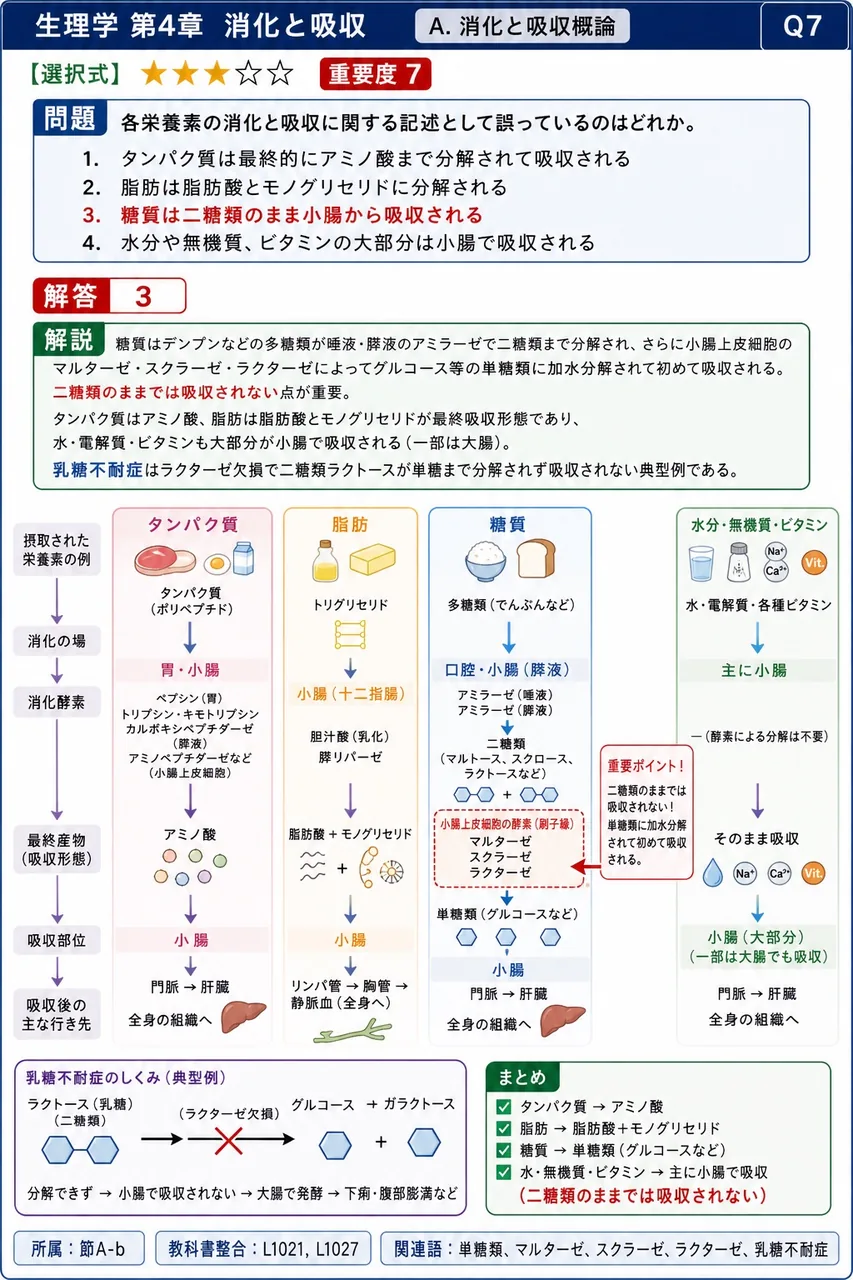 各栄養素の消化と吸収に関する記述として誤っているのはどれか。 解説図