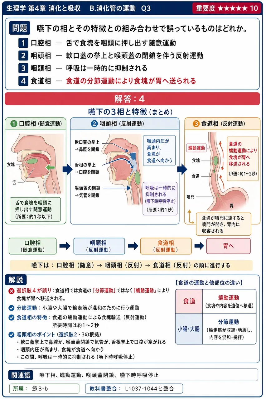 嚥下の相とその特徴との組み合わせで誤っているものはどれか。 解説図