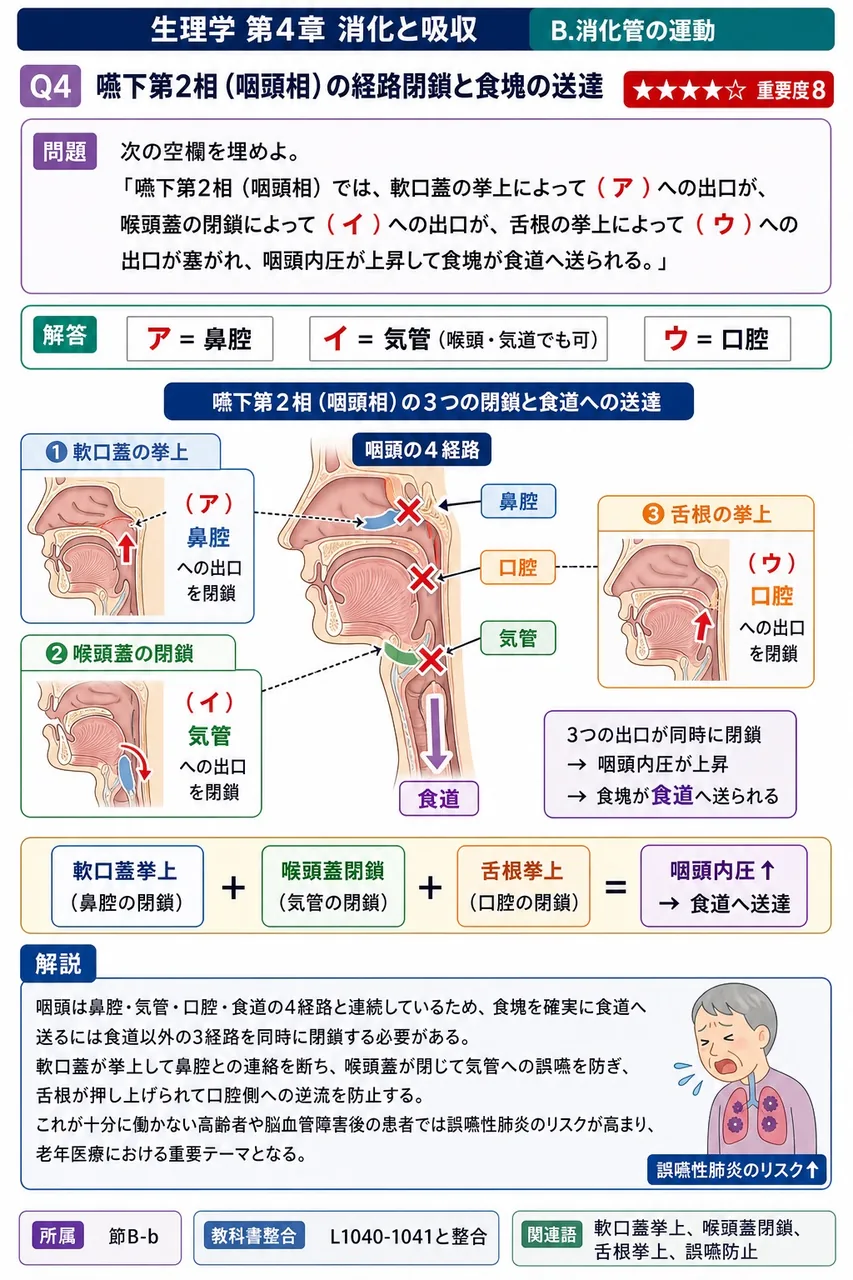 次の空欄を埋めよ。 「嚥下第2相(咽頭相)では、軟口蓋の挙上によって(ア)への出口が、喉頭蓋の閉鎖によって(イ)への出口が、舌根の挙上によって(ウ)への出口が塞がれ、咽頭内圧が上昇して食塊が食道へ送られる。」 解説図