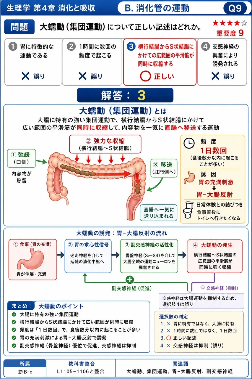 大蠕動(集団運動)について正しい記述はどれか。 解説図