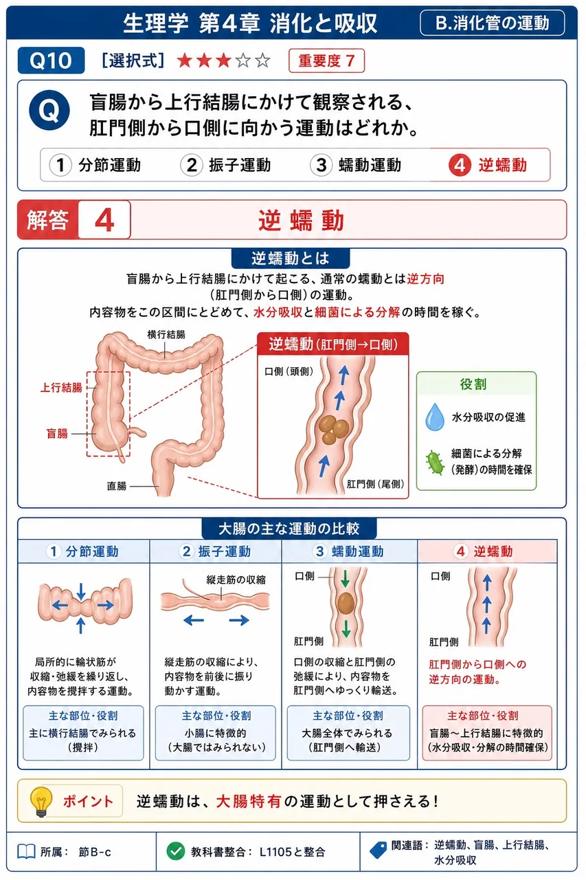 盲腸から上行結腸にかけて観察される、肛門側から口側に向かう運動はどれか。 解説図