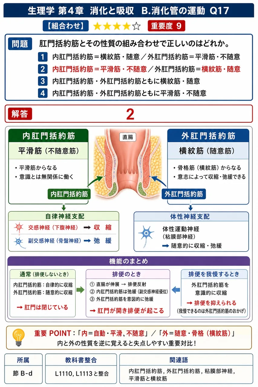 肛門括約筋とその性質の組み合わせで正しいのはどれか。 解説図