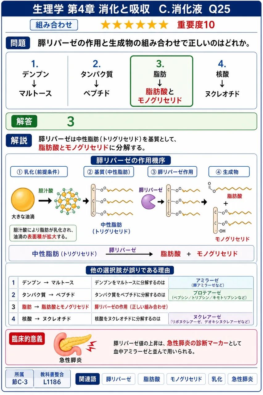 膵リパーゼの作用と生成物の組み合わせで正しいのはどれか。 解説図