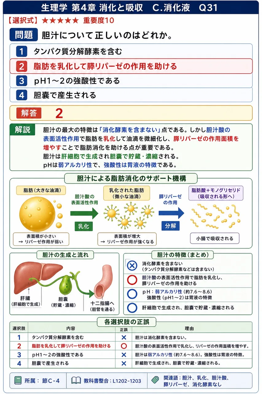 胆汁について正しいのはどれか。 解説図
