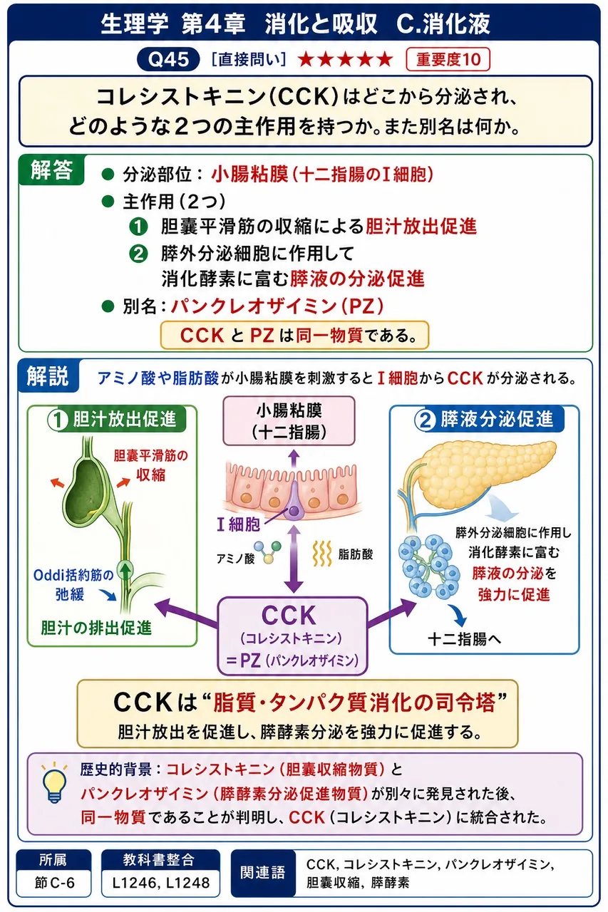 コレシストキニン(CCK)はどこから分泌され、どのような2つの主作用を持つか。また別名は何か。 解説図