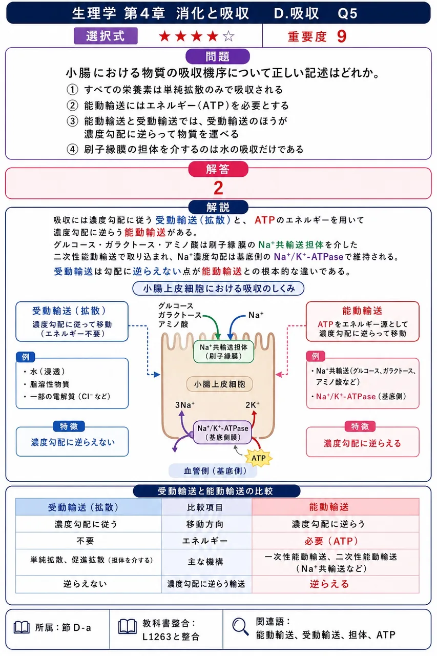 小腸における物質の吸収機序について正しい記述はどれか。 解説図