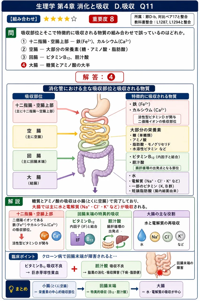 吸収部位とそこで特徴的に吸収される物質の組み合わせで誤っているのはどれか。 解説図
