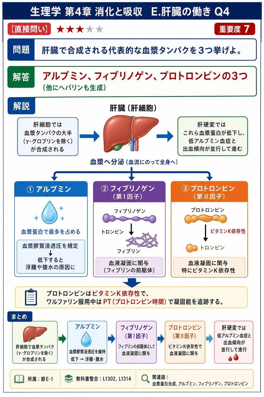 肝臓で合成される代表的な血漿タンパクを3つ挙げよ。 解説図