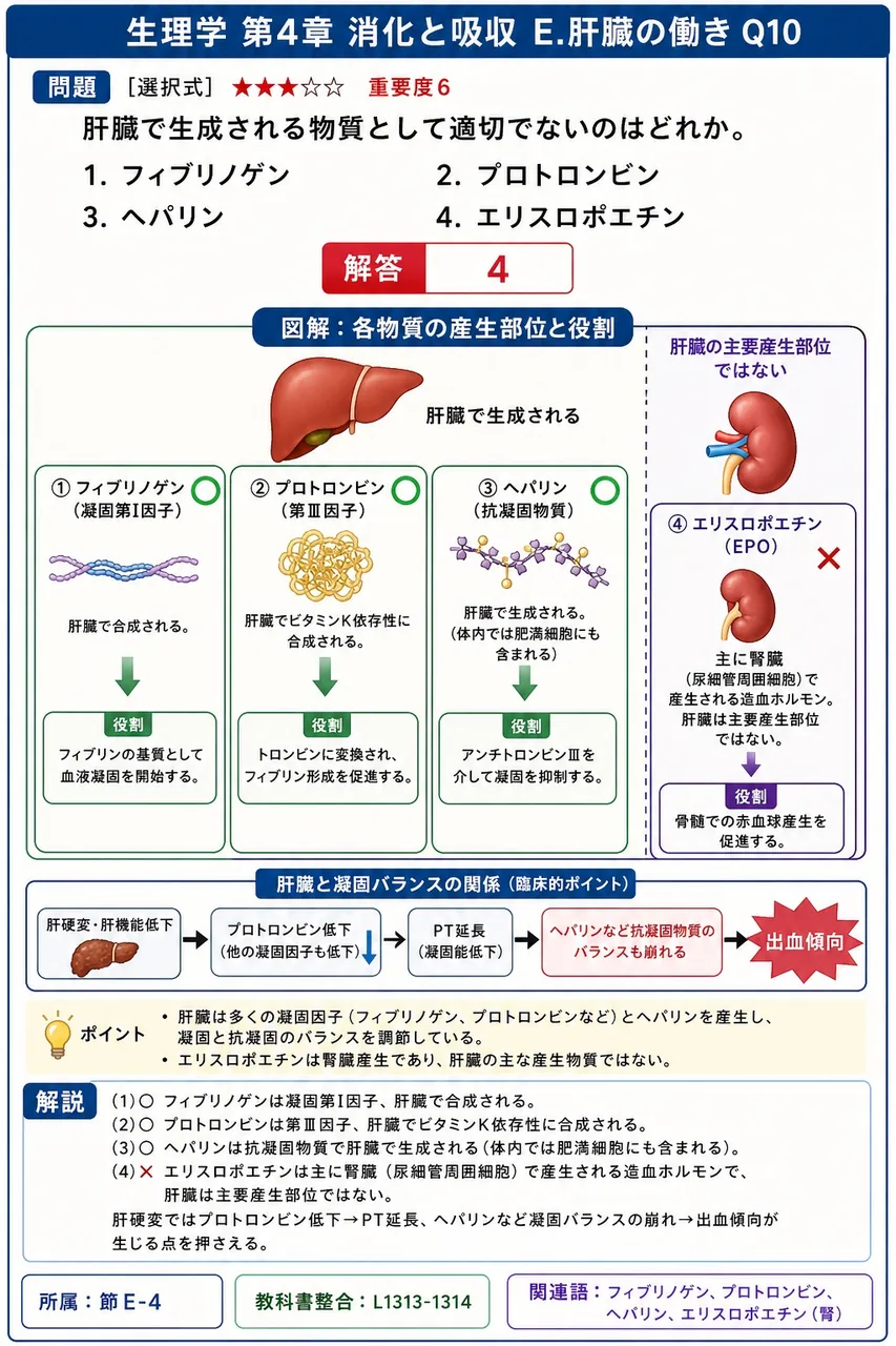 肝臓で生成される物質として適切でないのはどれか。 解説図