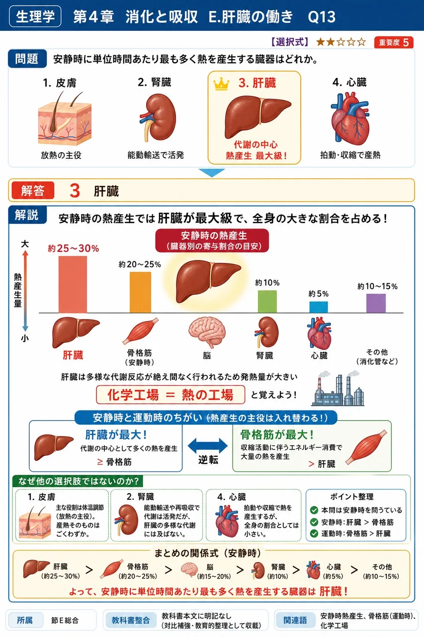 安静時に単位時間あたり最も多く熱を産生する臓器はどれか。 解説図