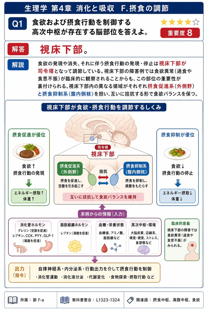 食欲および摂食行動を制御する高次中枢が存在する脳部位を答えよ。 解説図