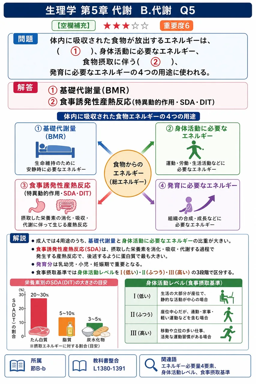 体内に吸収された食物が放出するエネルギーは、( ① )、身体活動に必要なエネルギー、食物摂取に伴う( ② )、発育に必要なエネルギーの4つの用途に使われる。 解説図