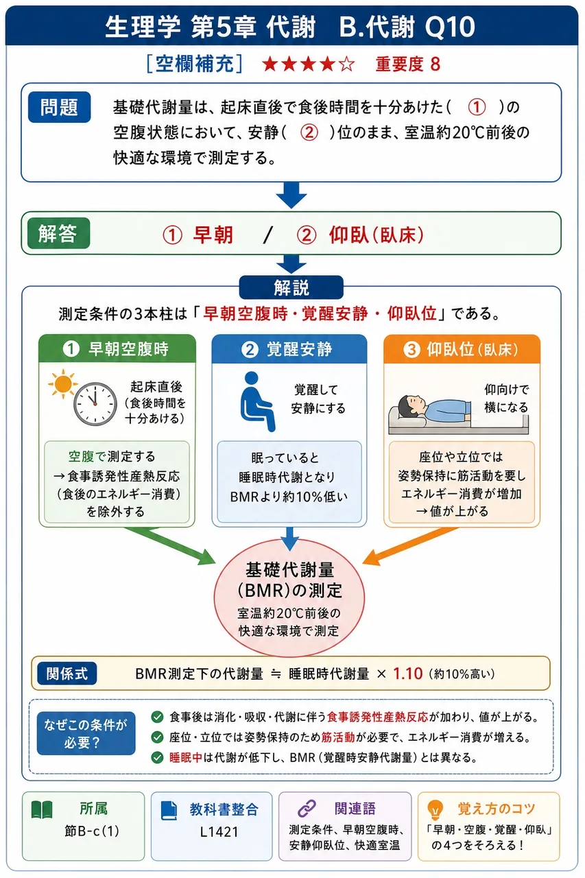 基礎代謝量は、起床直後で食後時間を十分あけた( ① )の空腹状態において、安静( ② )位のまま、室温約20℃前後の快適な環境で測定する。 解説図