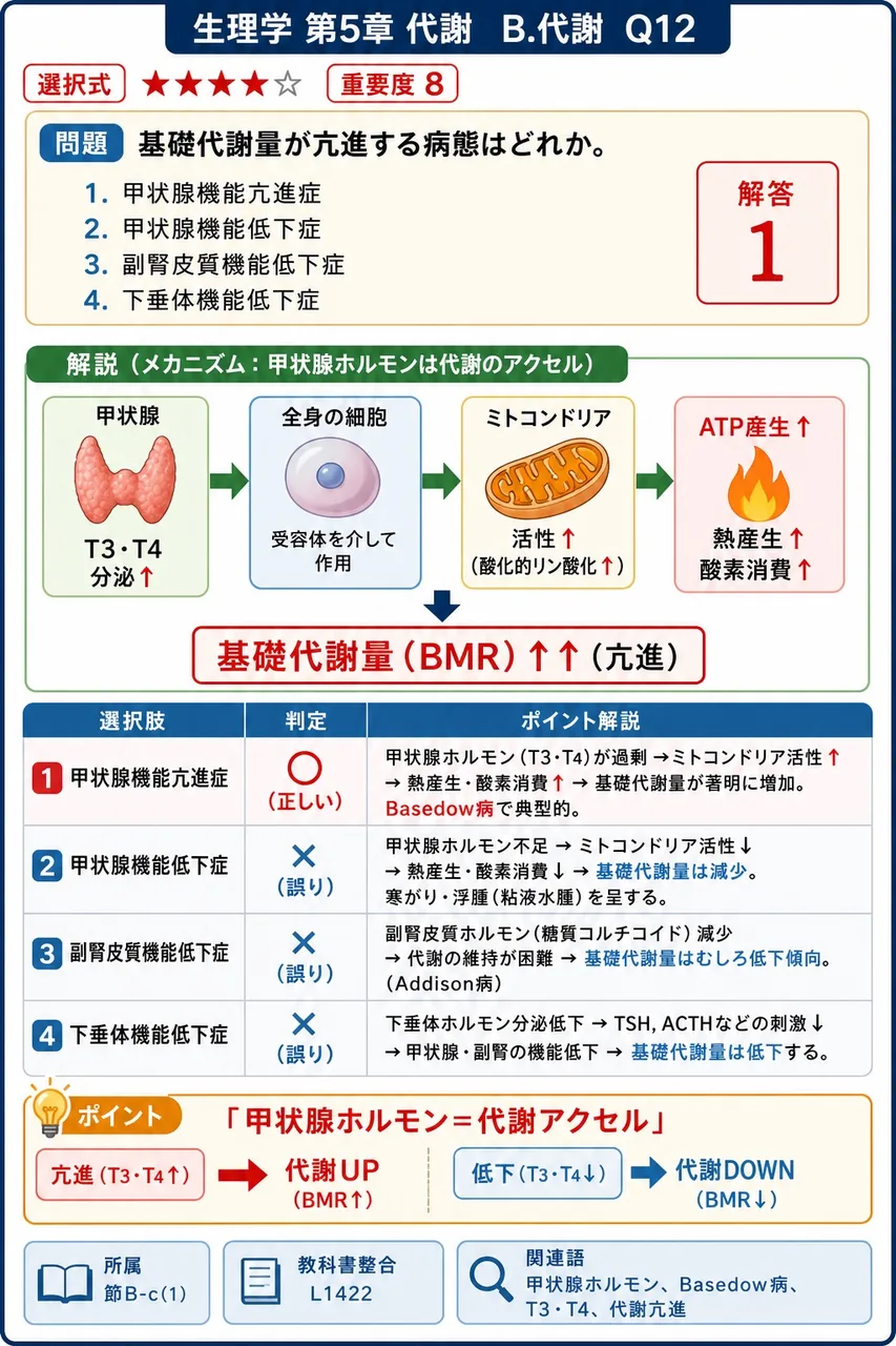 基礎代謝量が亢進する病態はどれか。 解説図