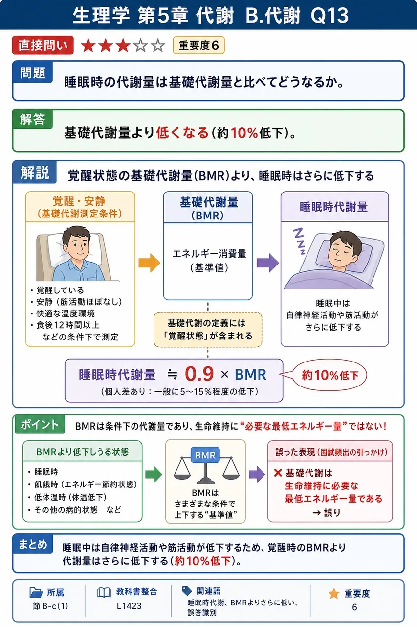 睡眠時の代謝量は基礎代謝量と比べてどうなるか。 解説図