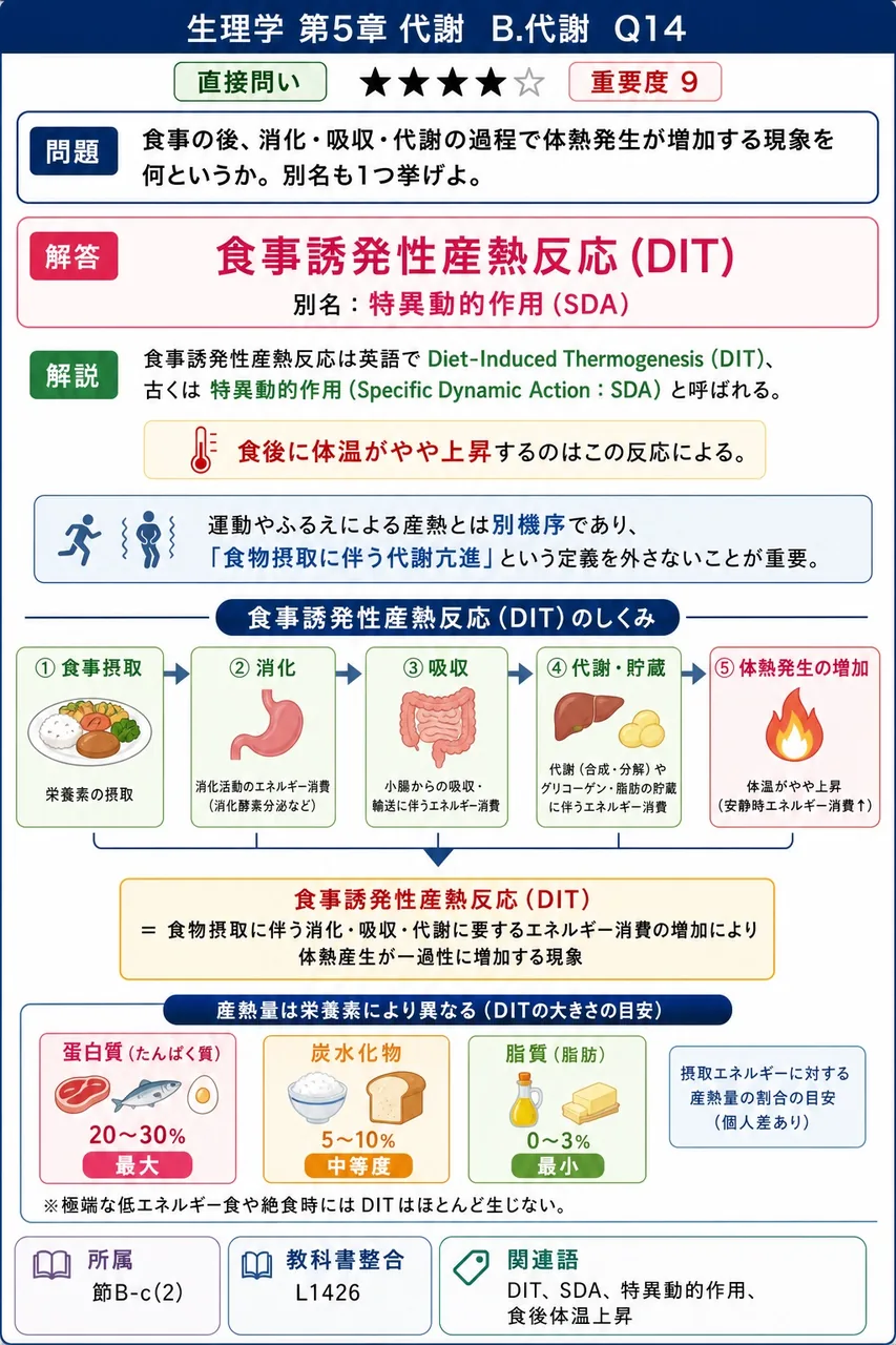 食事の後、消化・吸収・代謝の過程で体熱発生が増加する現象を何というか。別名も1つ挙げよ。 解説図