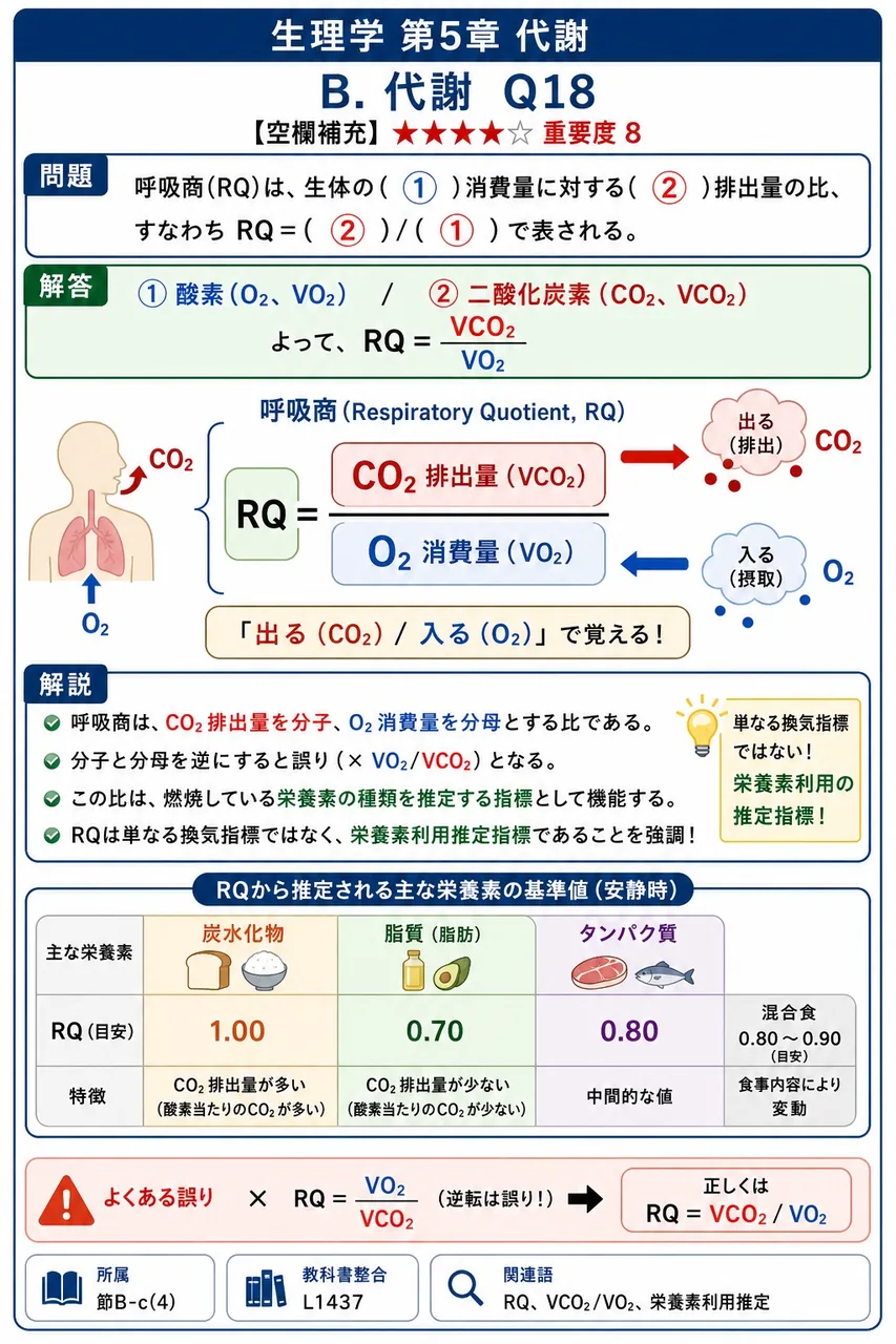 呼吸商(RQ)は、生体の( ① )消費量に対する( ② )排出量の比、すなわちRQ=( ② )/( ① )で表される。 解説図