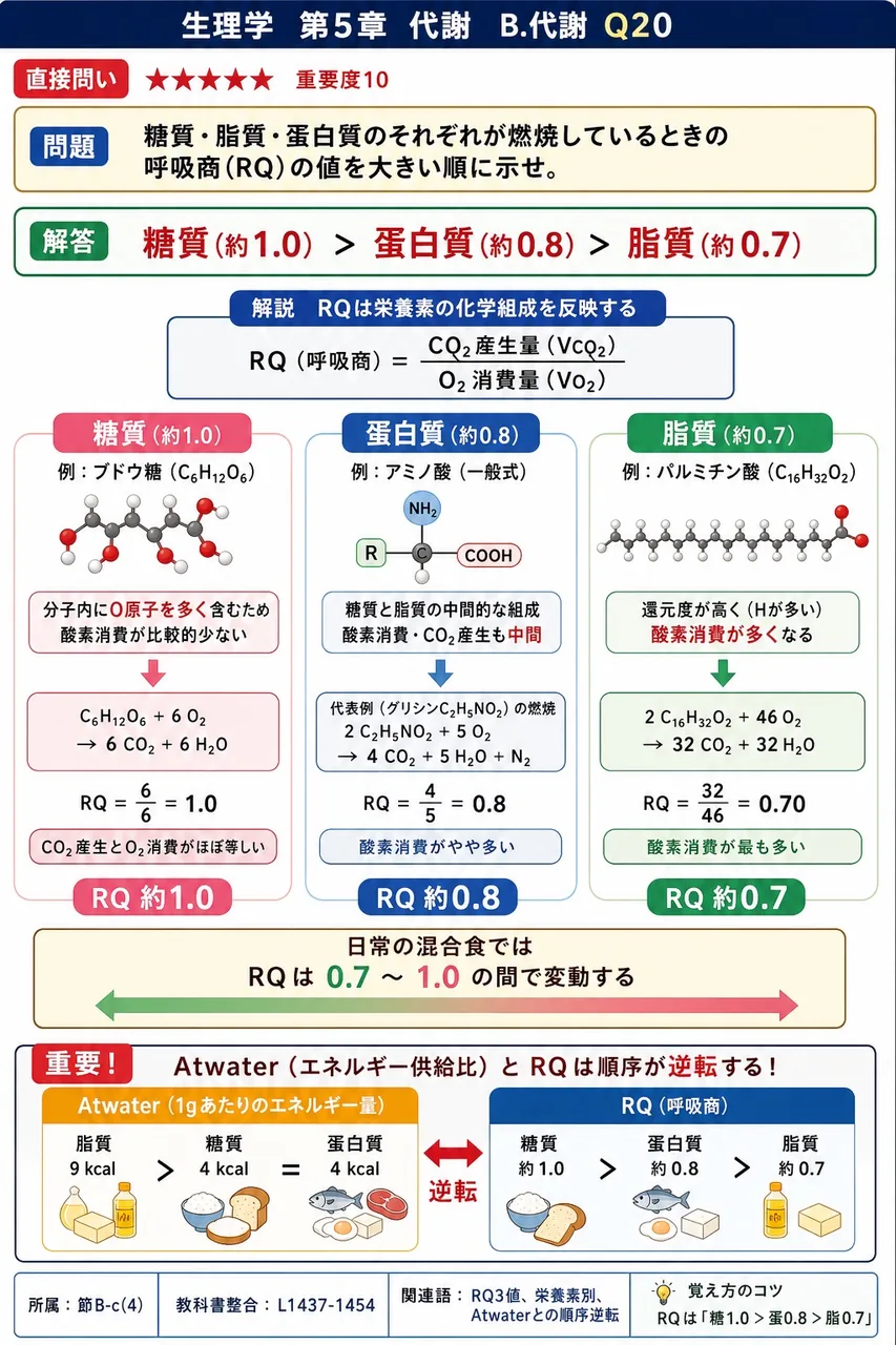 糖質・脂質・蛋白質のそれぞれが燃焼しているときの呼吸商(RQ)の値を大きい順に示せ。 解説図