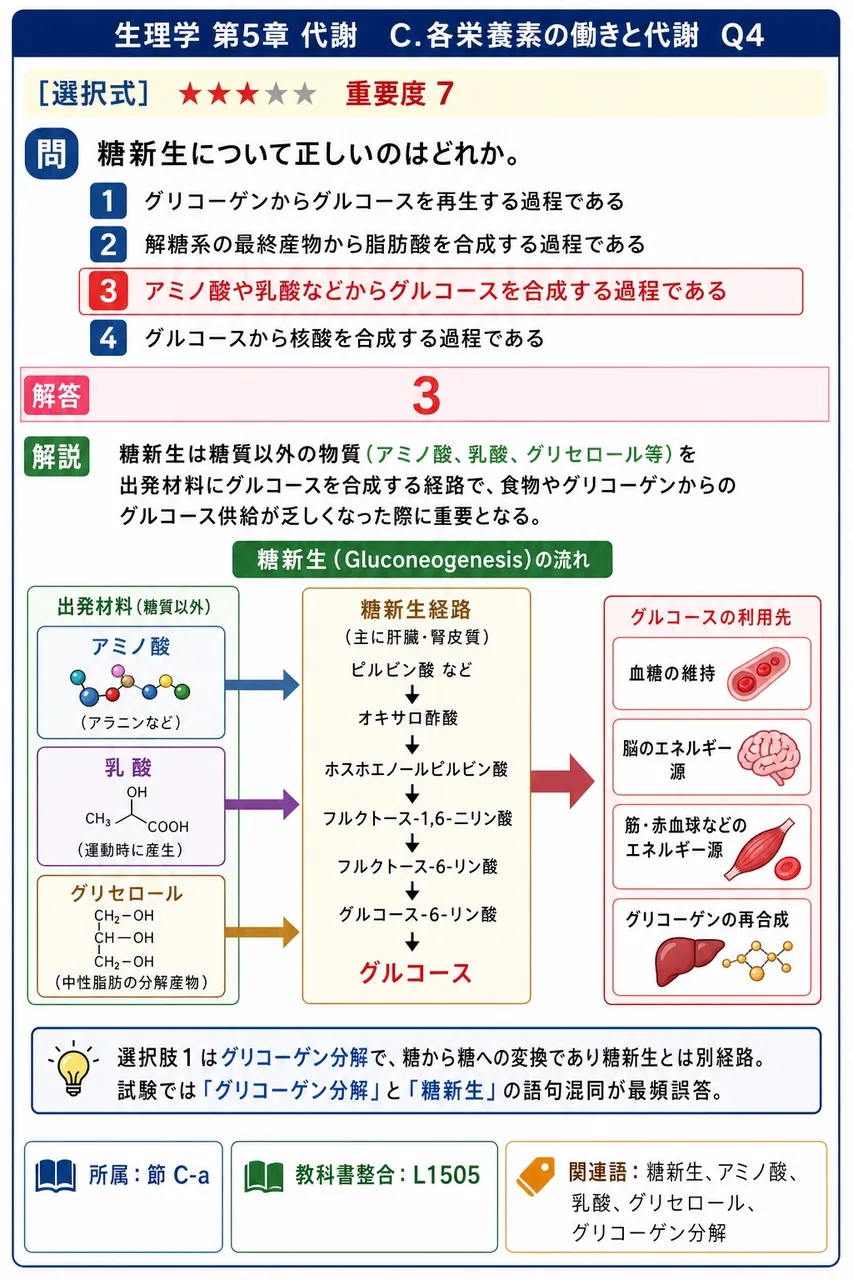 糖新生について正しいのはどれか。 解説図