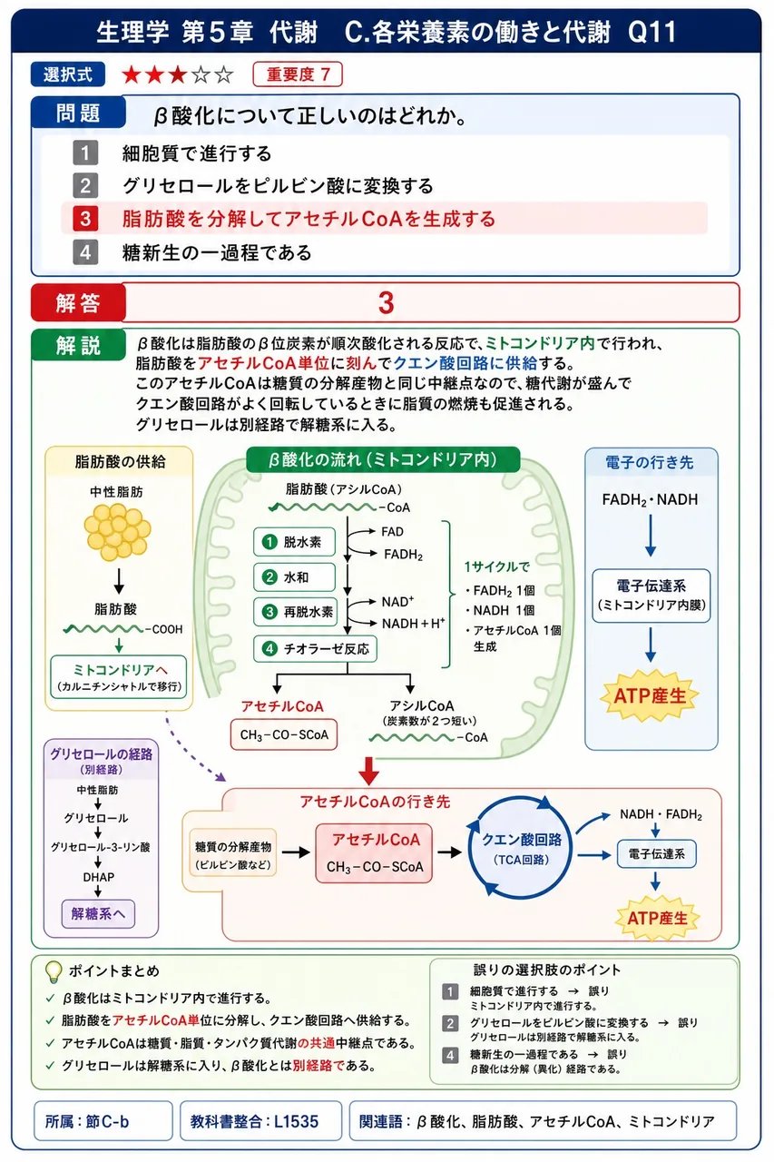 β酸化について正しいのはどれか。 解説図