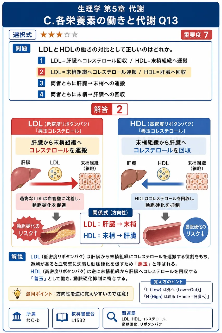 LDLとHDLの働きの対比として正しいのはどれか。 解説図