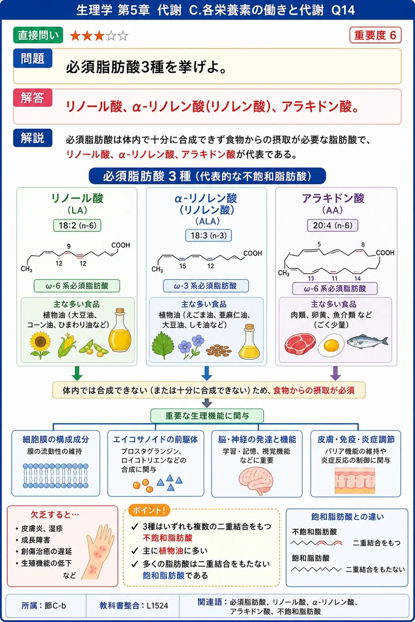 必須脂肪酸3種を挙げよ。 解説図
