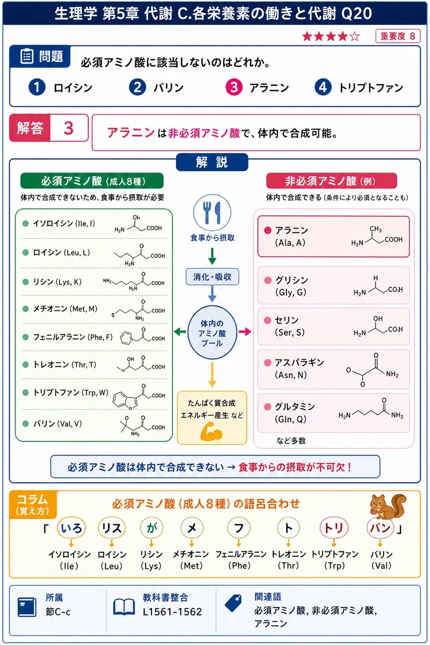 必須アミノ酸に該当しないのはどれか。 解説図