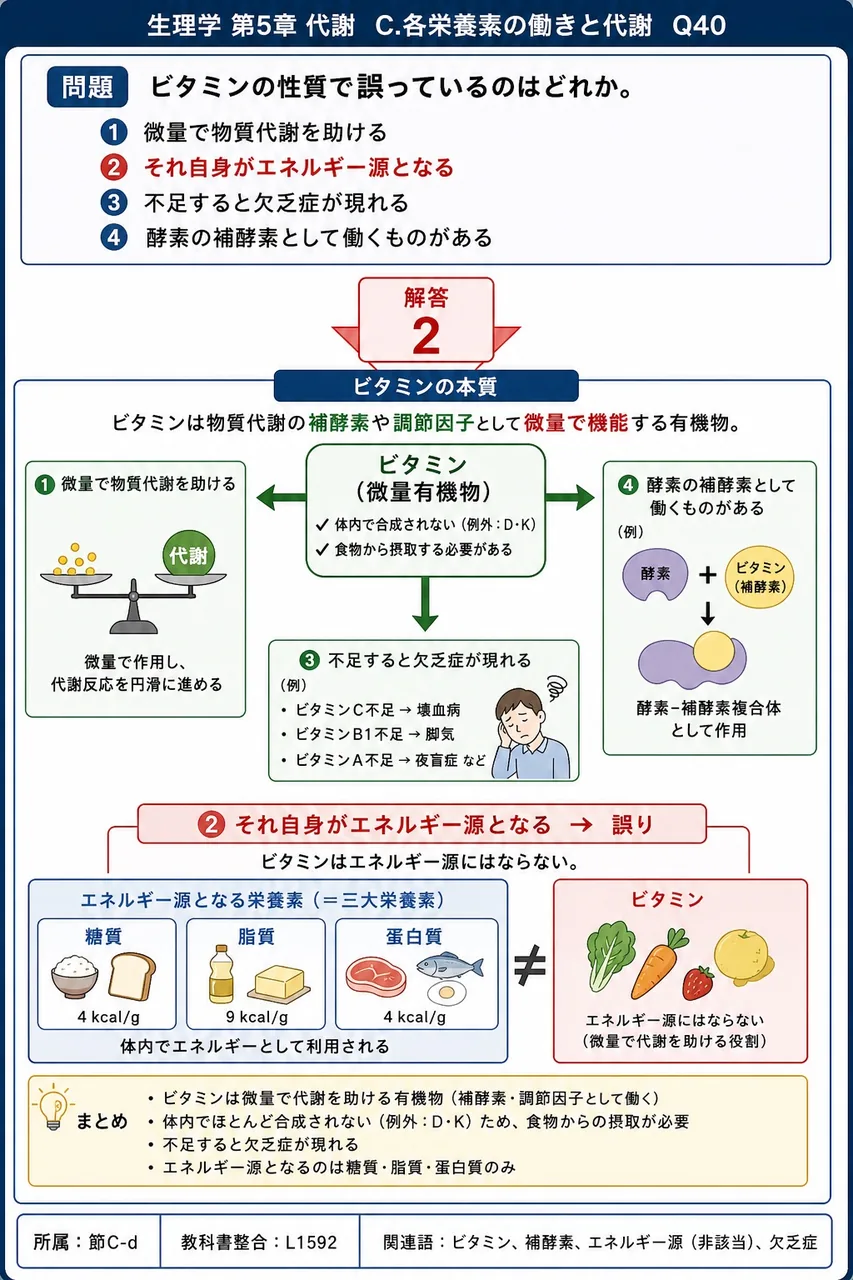 ビタミンの性質で誤っているのはどれか。 解説図