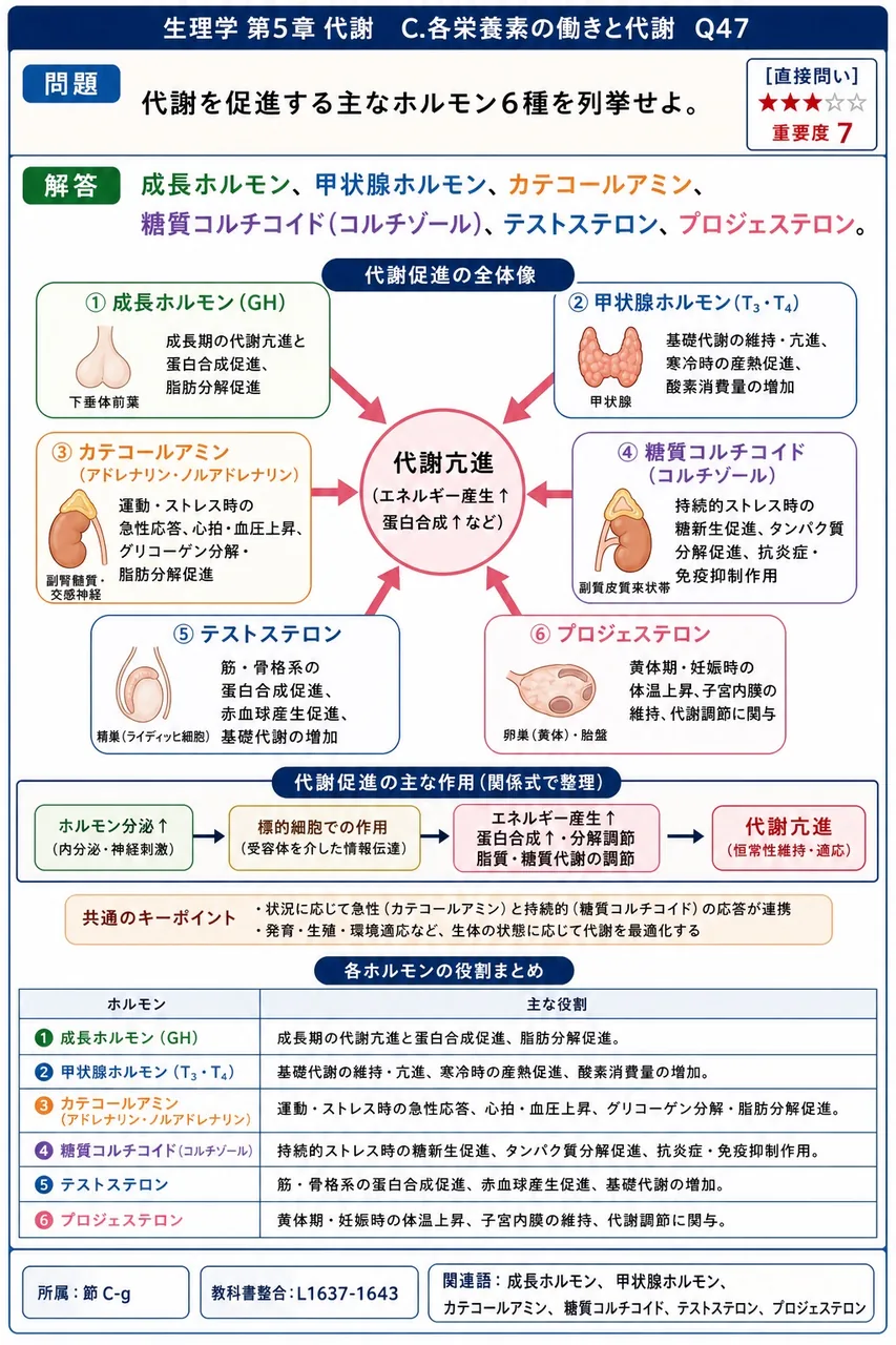 代謝を促進する主なホルモン6種を列挙せよ。 解説図