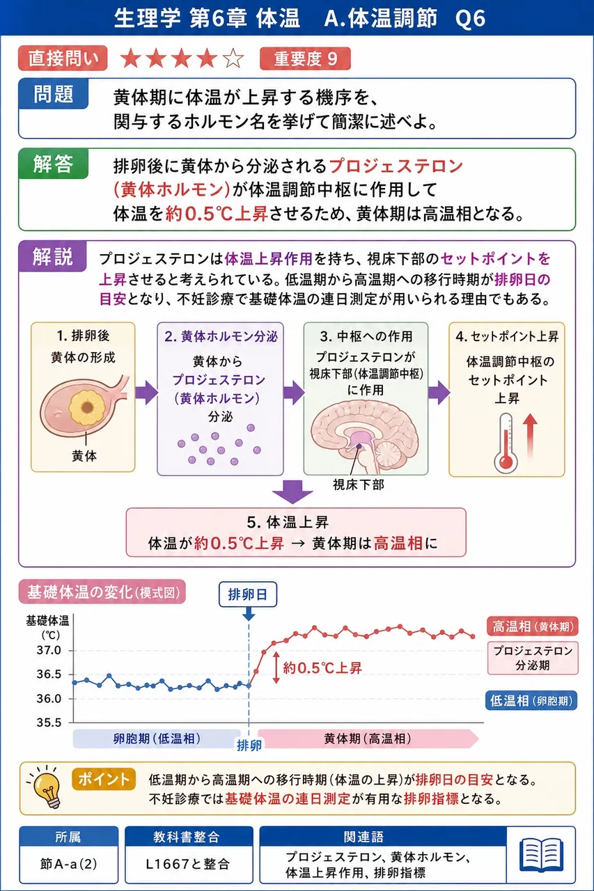 黄体期に体温が上昇する機序を、関与するホルモン名を挙げて簡潔に述べよ。 解説図