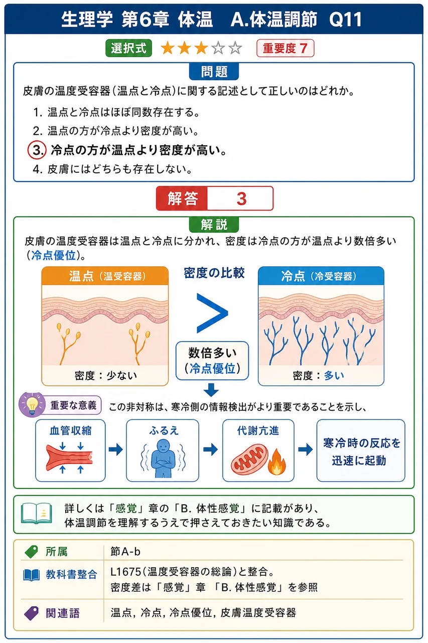 皮膚の温度受容器(温点と冷点)に関する記述として正しいのはどれか。 解説図