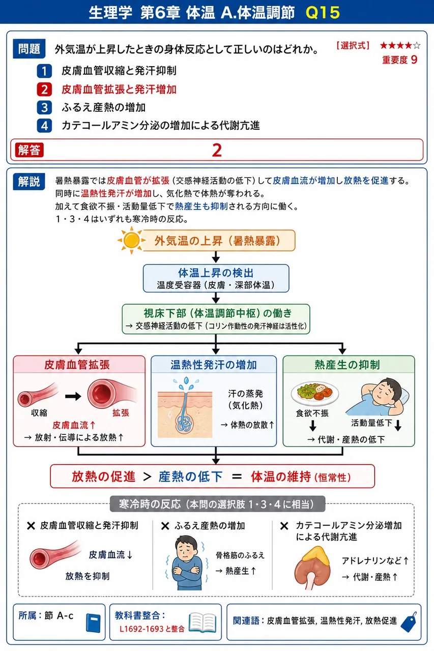 外気温が上昇したときの身体反応として正しいのはどれか。 解説図
