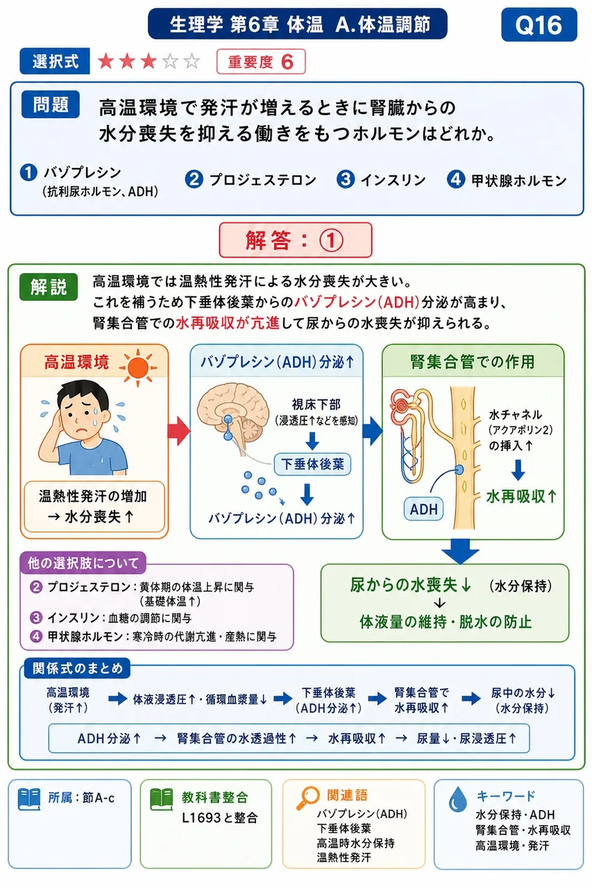 高温環境で発汗が増えるときに腎臓からの水分喪失を抑える働きをもつホルモンはどれか。 解説図