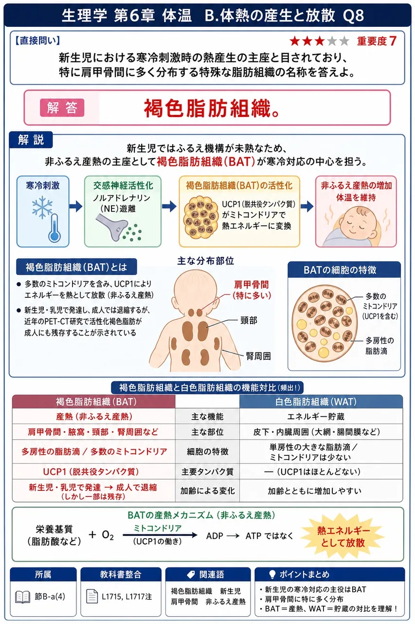 新生児における寒冷刺激時の熱産生の主座と目されており、特に肩甲骨間に多く分布する特殊な脂肪組織の名称を答えよ。 解説図