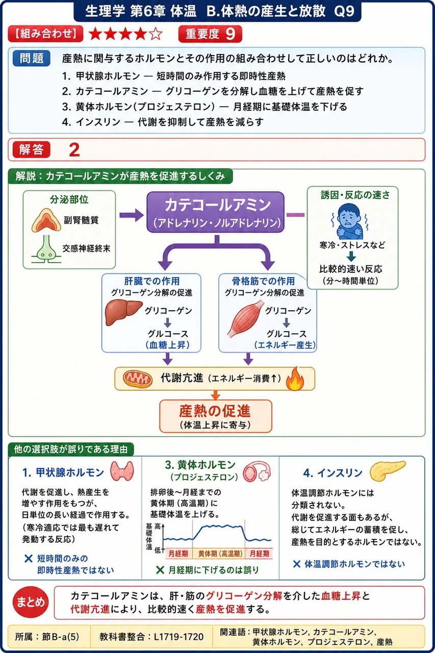 産熱に関与するホルモンとその作用の組み合わせとして正しいのはどれか。 解説図