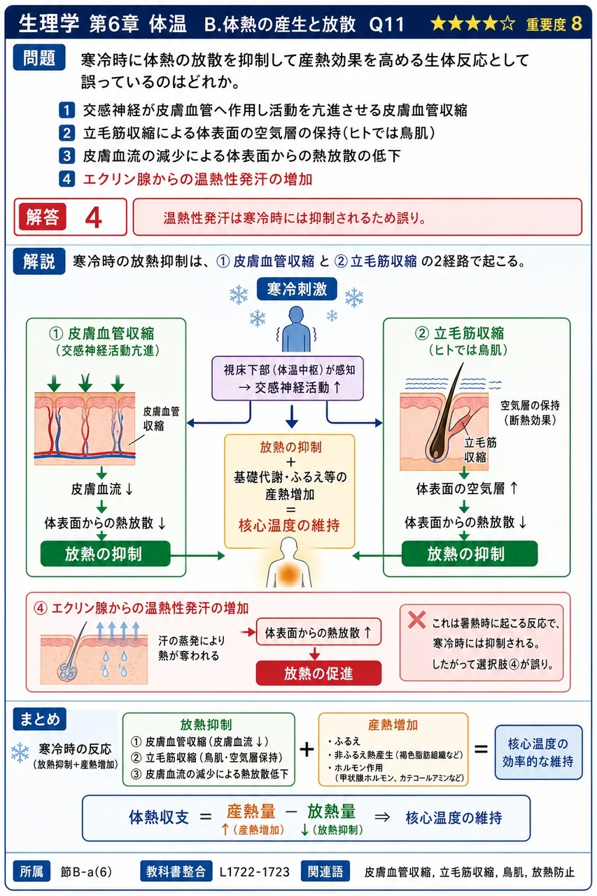 寒冷時に体熱の放散を抑制して産熱効果を高める生体反応として誤っているのはどれか。 解説図