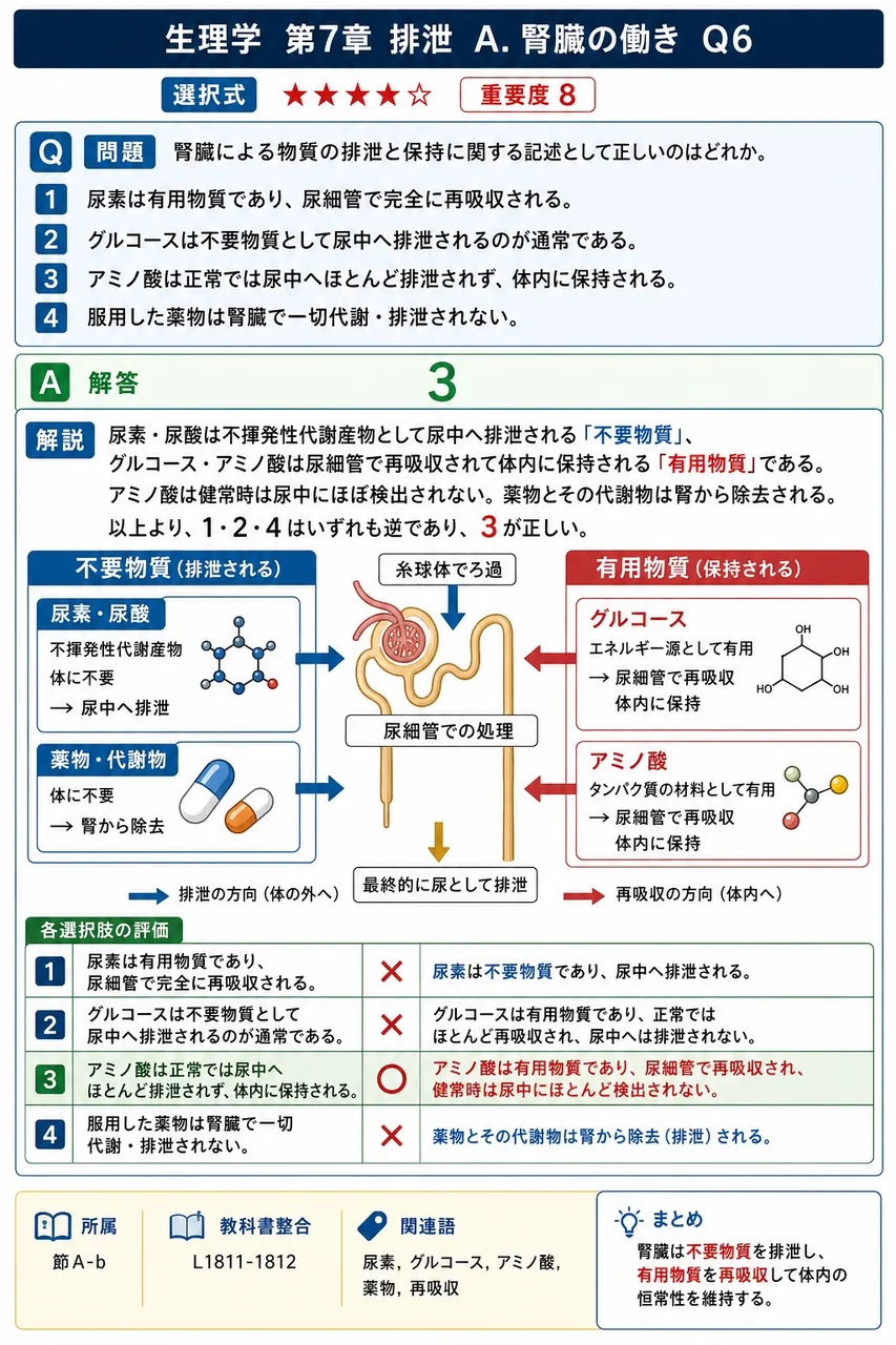腎臓による物質の排泄と保持に関する記述として正しいのはどれか。 解説図