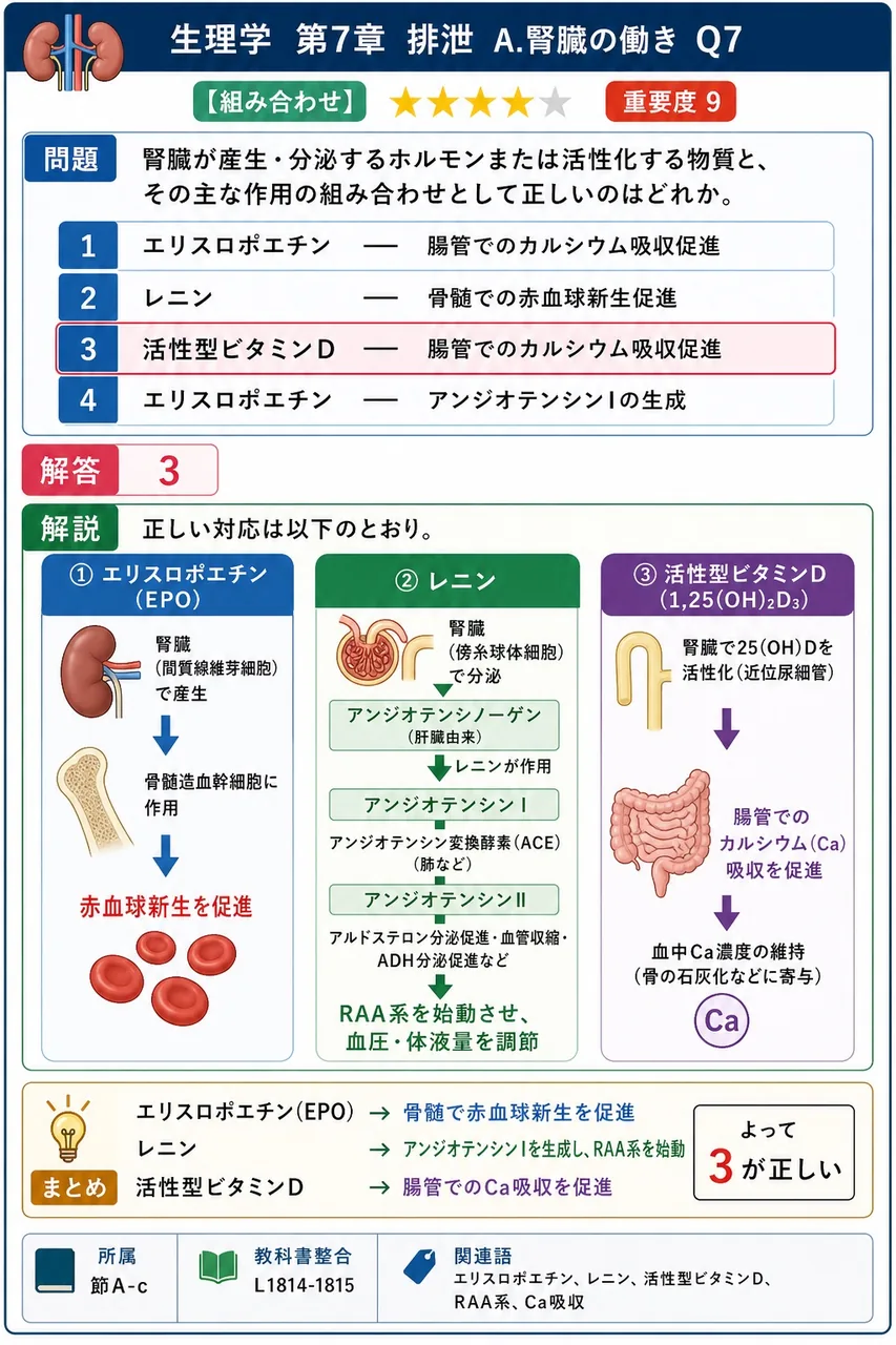 腎臓が産生・分泌するホルモンまたは活性化する物質と、その主な作用の組み合わせとして正しいのはどれか。 解説図