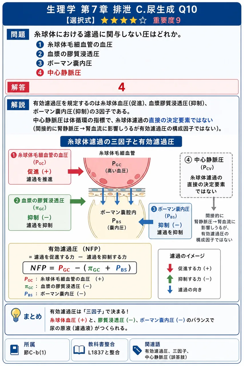 糸球体における濾過に関与しない圧はどれか。 解説図