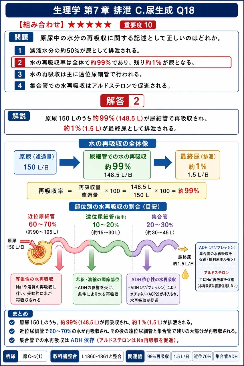 原尿中の水分の再吸収に関する記述として正しいのはどれか。 解説図