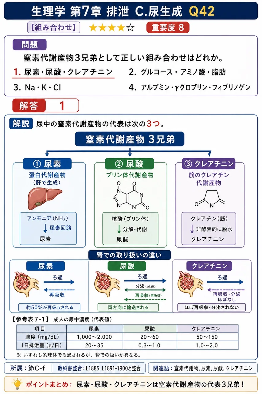 窒素代謝産物3兄弟として正しい組み合わせはどれか。 解説図