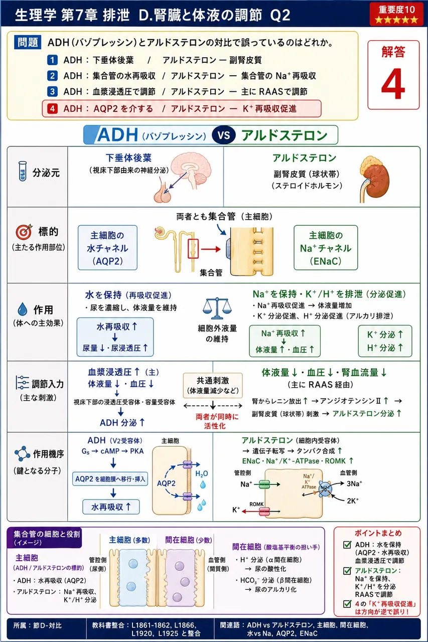 ADH(バゾプレッシン)とアルドステロンの対比で誤っているのはどれか。 解説図