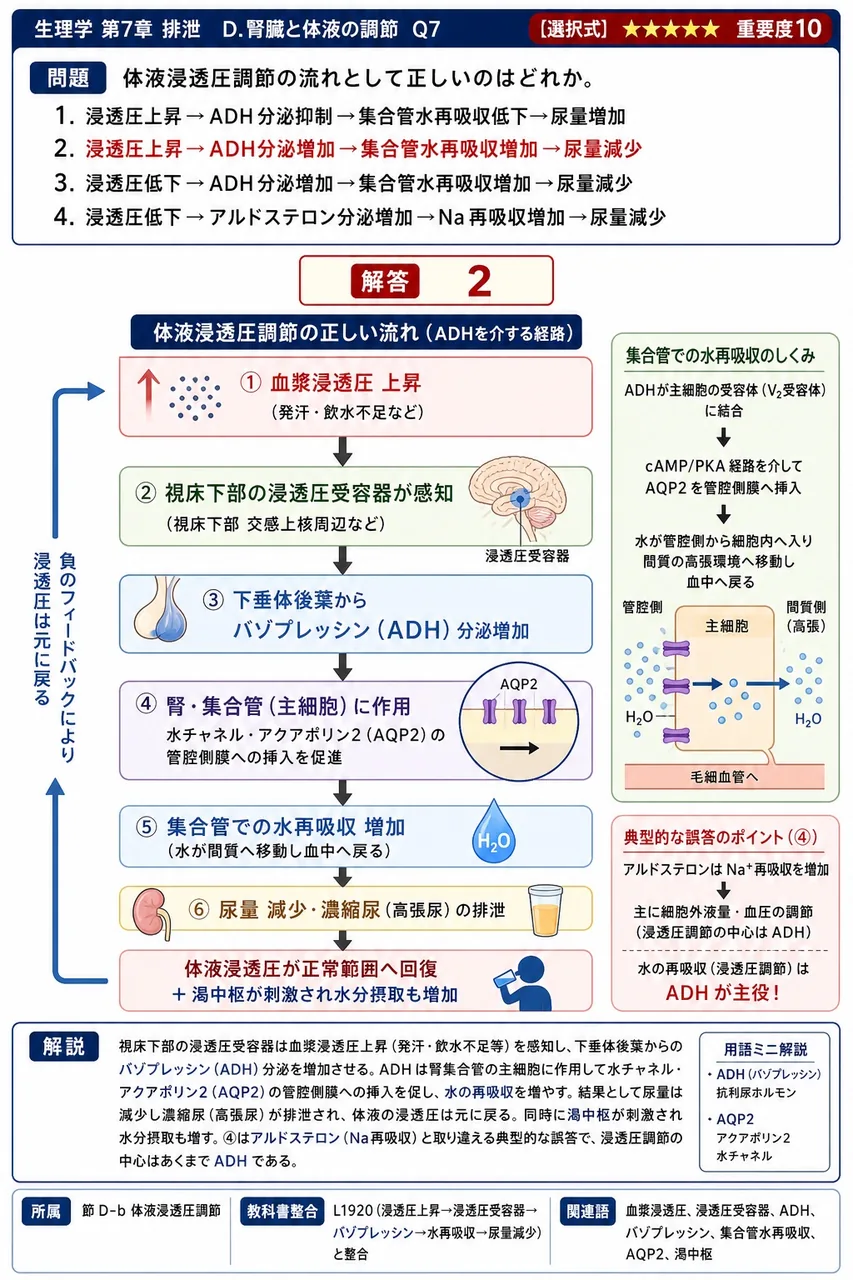 体液浸透圧調節の流れとして正しいのはどれか。 解説図