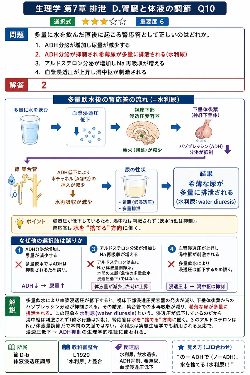 多量に水を飲んだ直後に起こる腎応答として正しいのはどれか。 解説図