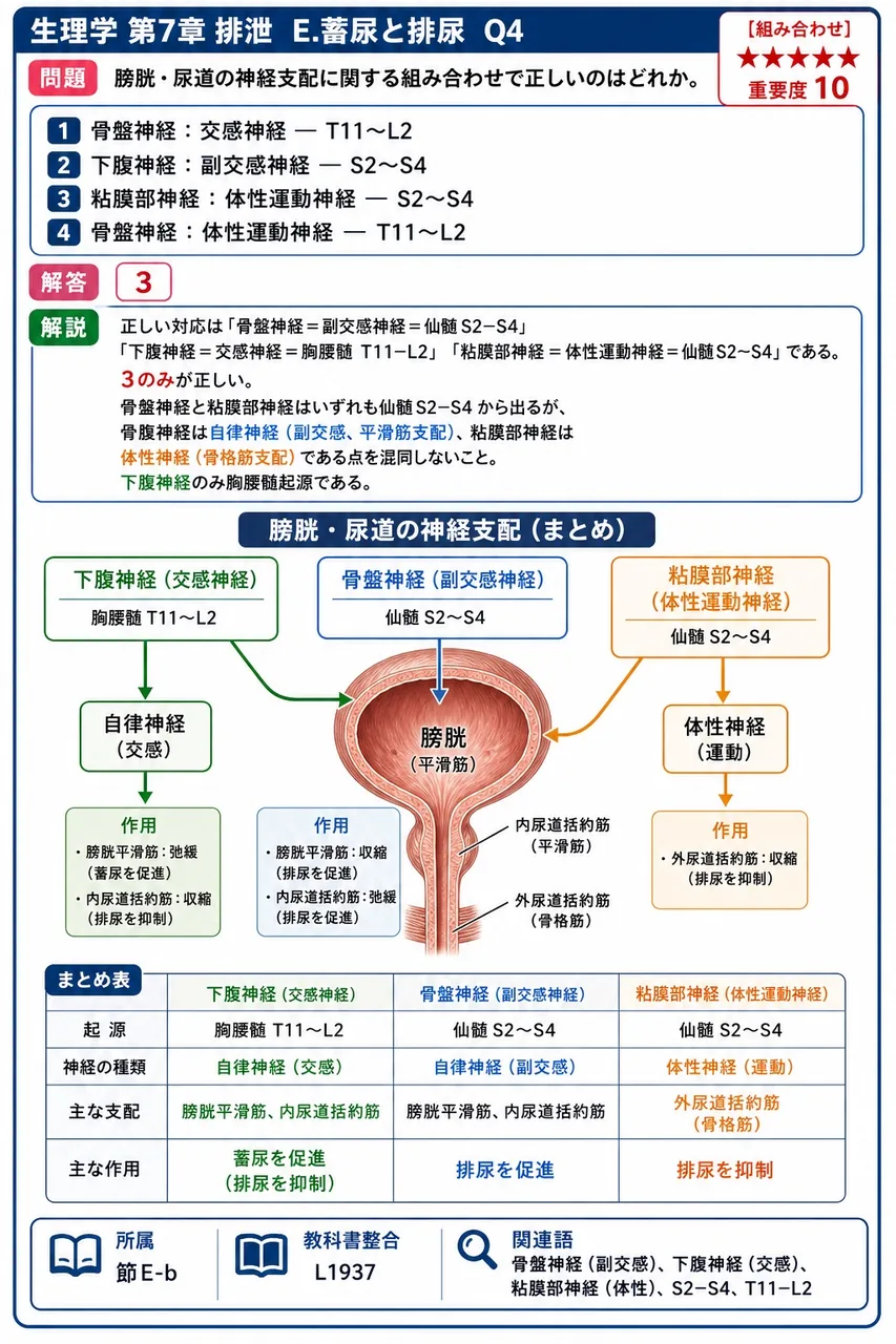 膀胱・尿道の神経支配に関する組み合わせで正しいのはどれか。 解説図
