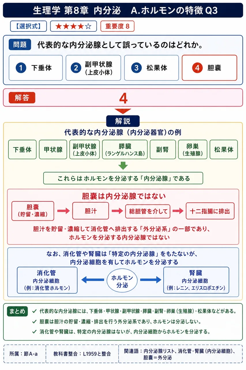 代表的な内分泌腺として誤っているのはどれか。 解説図
